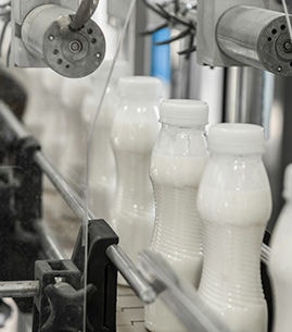 Food Safety in Dairy