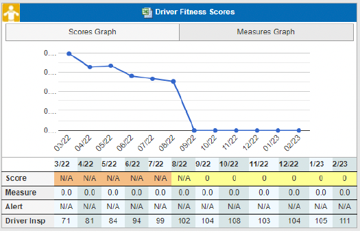 Driver Fitness Scores Example Report
